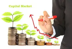 Capital Markets