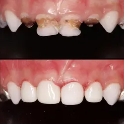  Kids Dentistry