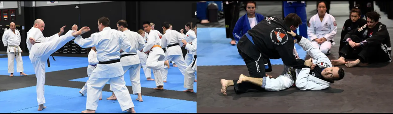 Bujutsu Martial Arts and Fitness Centre