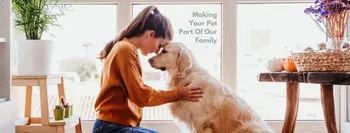 Silverado Veterinary Hospital