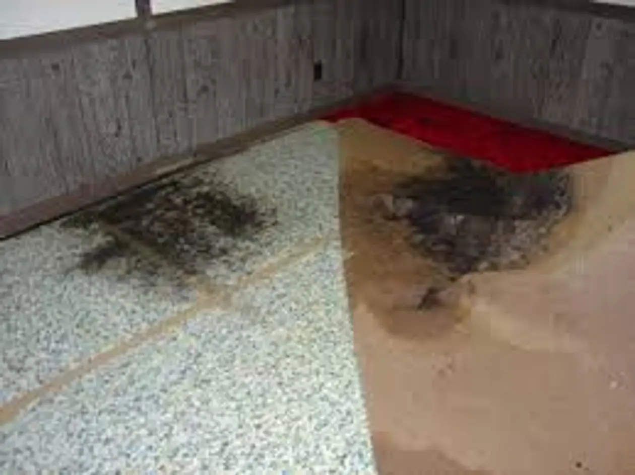 Capital Restoration Cleaning