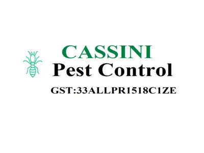 Cassini Pest Control Services in Chennai