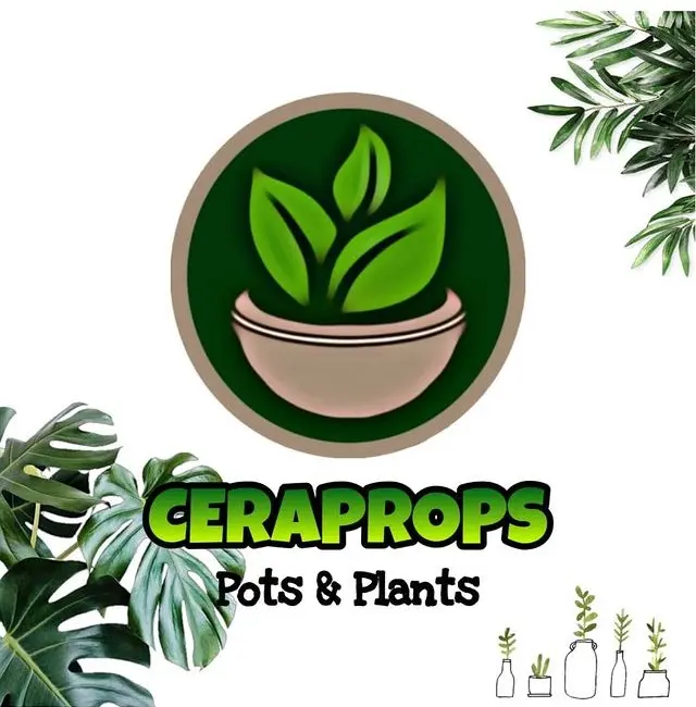 Ceraprops Pots And Plants