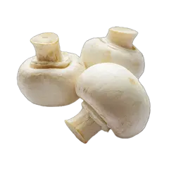 മഷ്‌റൂം