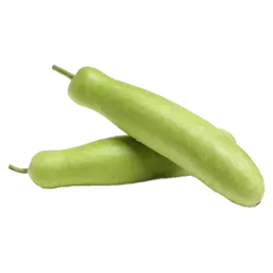 ചുരയ്ക്ക 