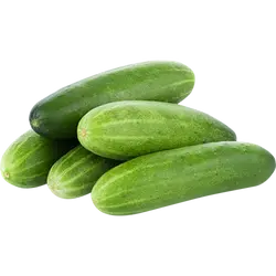 കുക്കുമ്പർ 