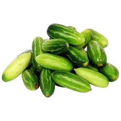 കോവയ്ക്ക 