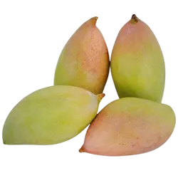 പച്ചമാങ്ങ 
