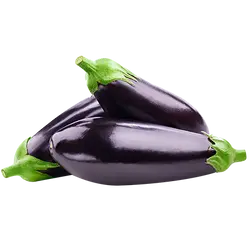  വഴുതനങ്ങ 