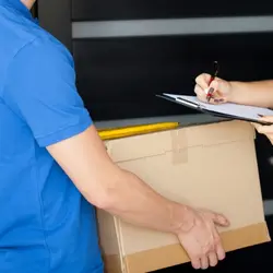 Domestic Service