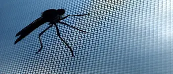 Smart Mosquito Net