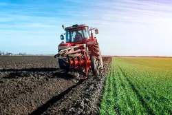Agriculture & Cultivation