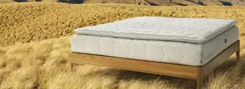 Dreamwool