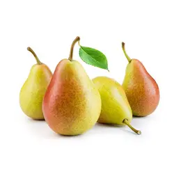 روزماري الكمثرى    