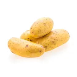 بطاطس    