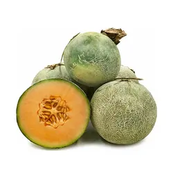 MELON ROCK 