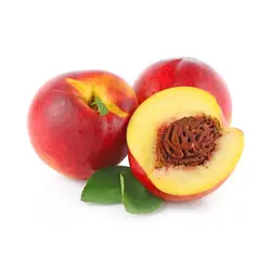 NECTARINE