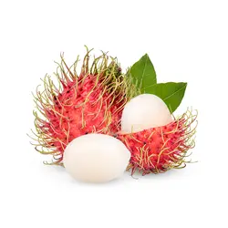 RAMBUTAN