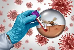 Dengue