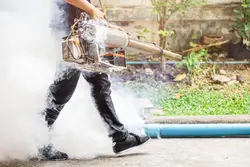 Thermal Fogging