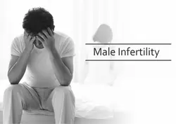 Male Infertility Treatment