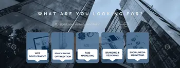 Rapid Digital Growth