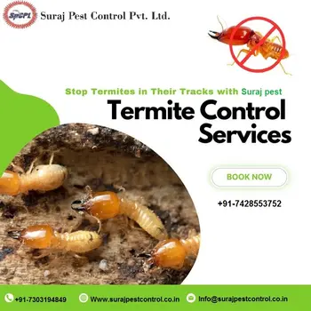 Suraj Pest Control PVT LTD