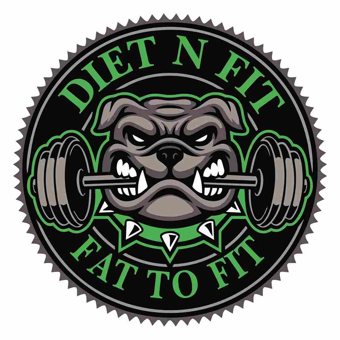 Diet N Fit