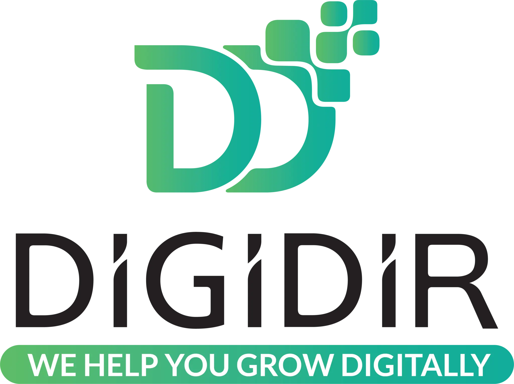 DigiDir-Digital Marketing Agency