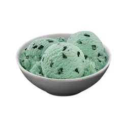 Mint Chocolate Chip Ice Cream