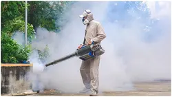 Mosquito Treatment