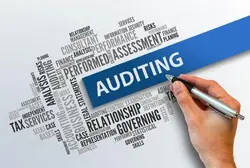 Audit Services