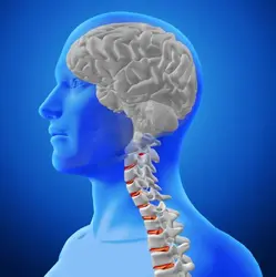 Ayurvedic Treatment for Neurological Disorder