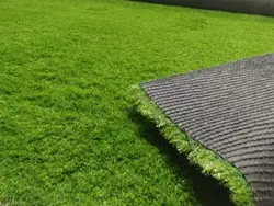 Artificial Grass Carpets