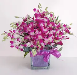 Purple Orchids 