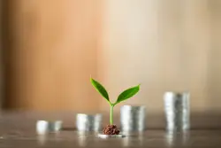 SME Finance
