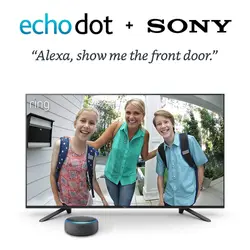 Sony XBR-55A8G 55 Inch TV: BRAVIA OLED 4K Ultra HD Smart TV with HDR and Alexa Compatibility - 2019 Model