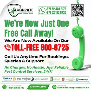  Accurate Pest Control Services 