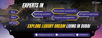 Pegasus Real Estate