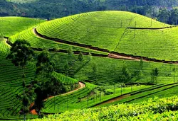 Explore Kerala