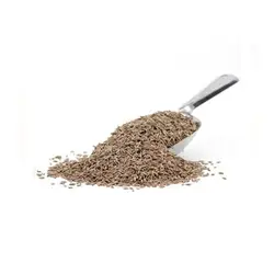 Popular Cumin / Jeera - Whole