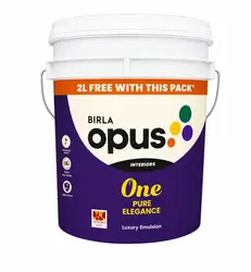 Birla Opus Luxury Emulsion