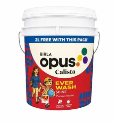 Birla Opus Calista EW Shine