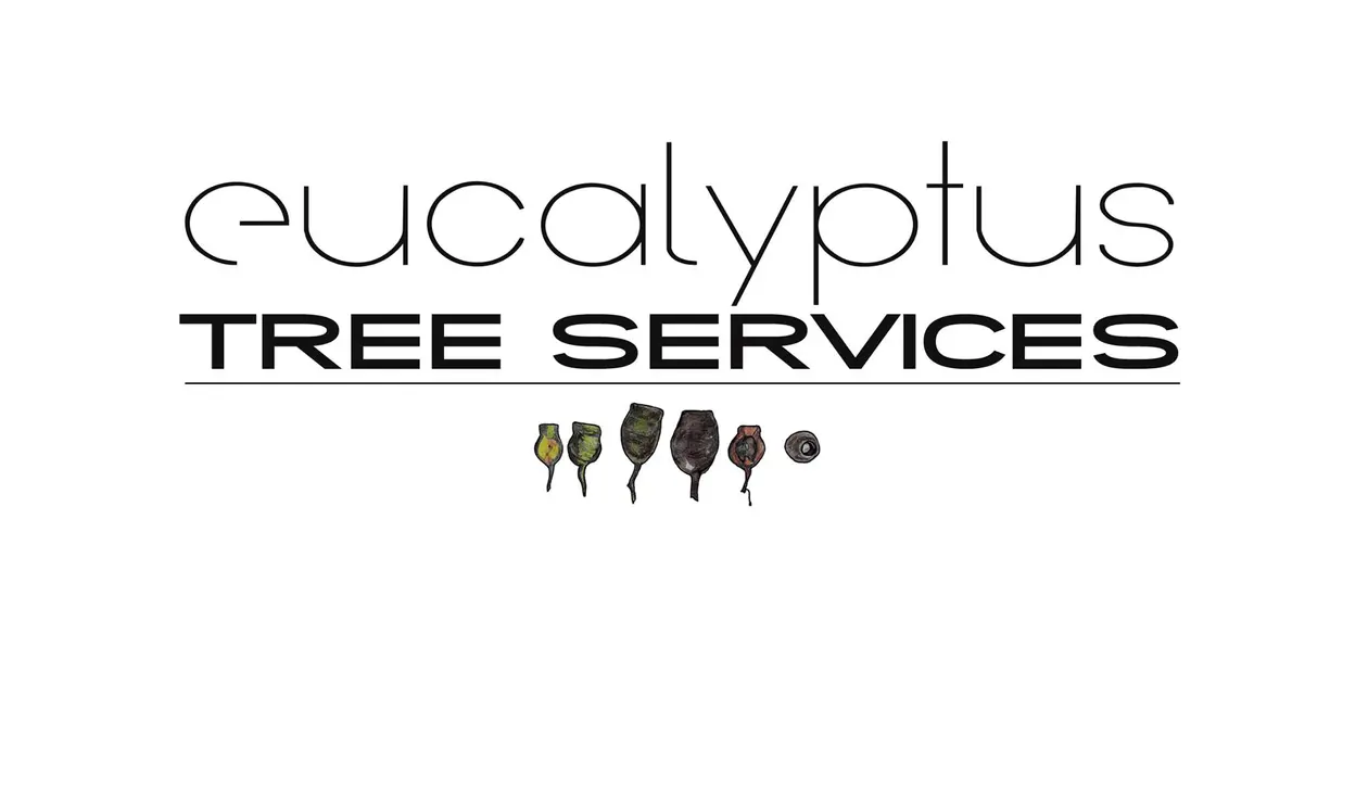 Eucalyptus Tree Services