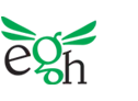 Evergreen Holidays