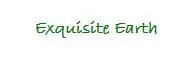 Exquisite Earth