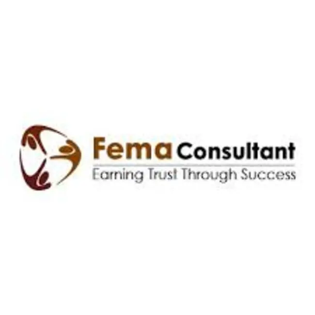 FEMA Consultant 