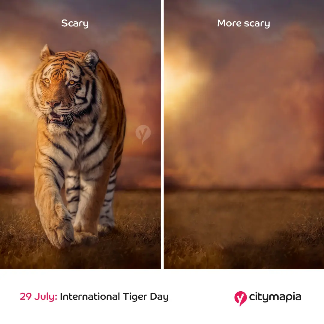International Tiger day
