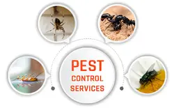  Pet-Safe Pest Control