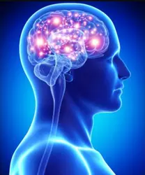 Neuropsychiatry